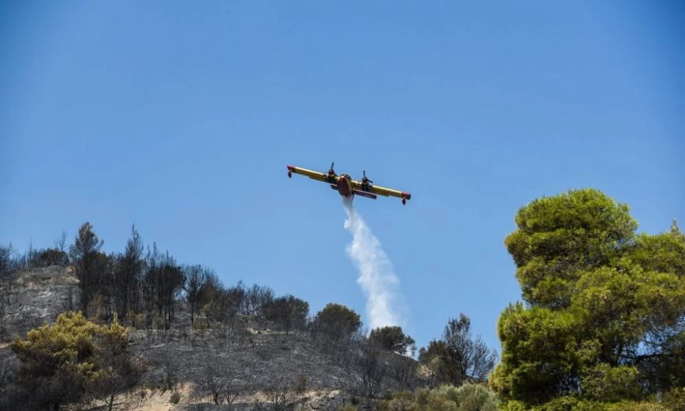 Χαρδαλιάς: 116 φωτιές το τελευταίο 48ωρο – Ποια είναι η κατάσταση στα πύρινα μέτωπα